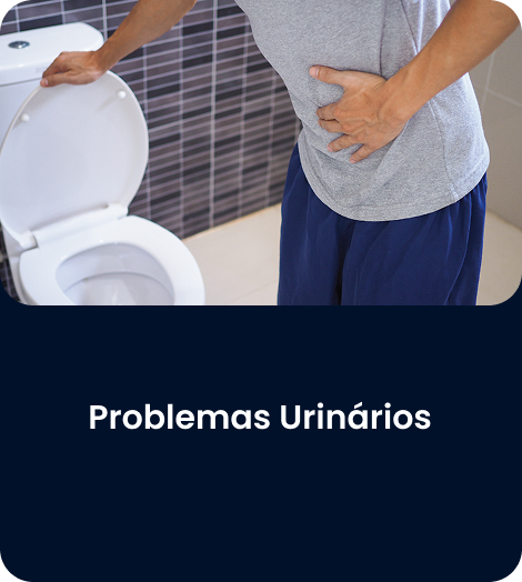 RETANGULO 11