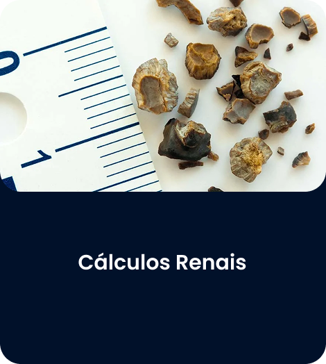 RETANGULO 5