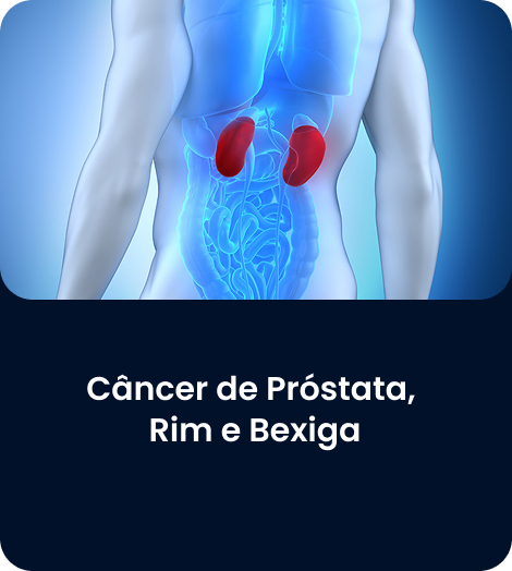 RETANGULO 7